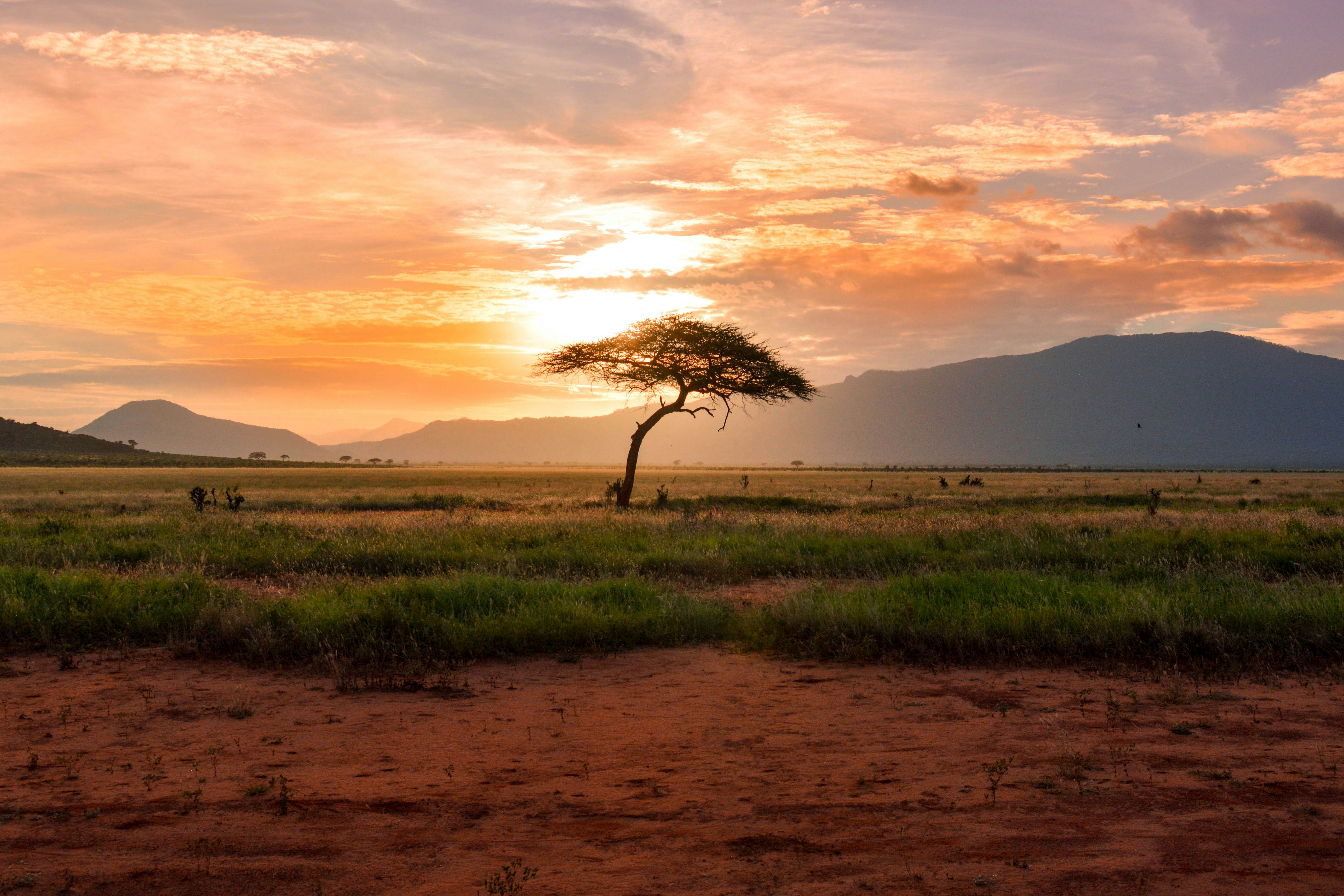 When to visit South Africa: a month-by-month guide