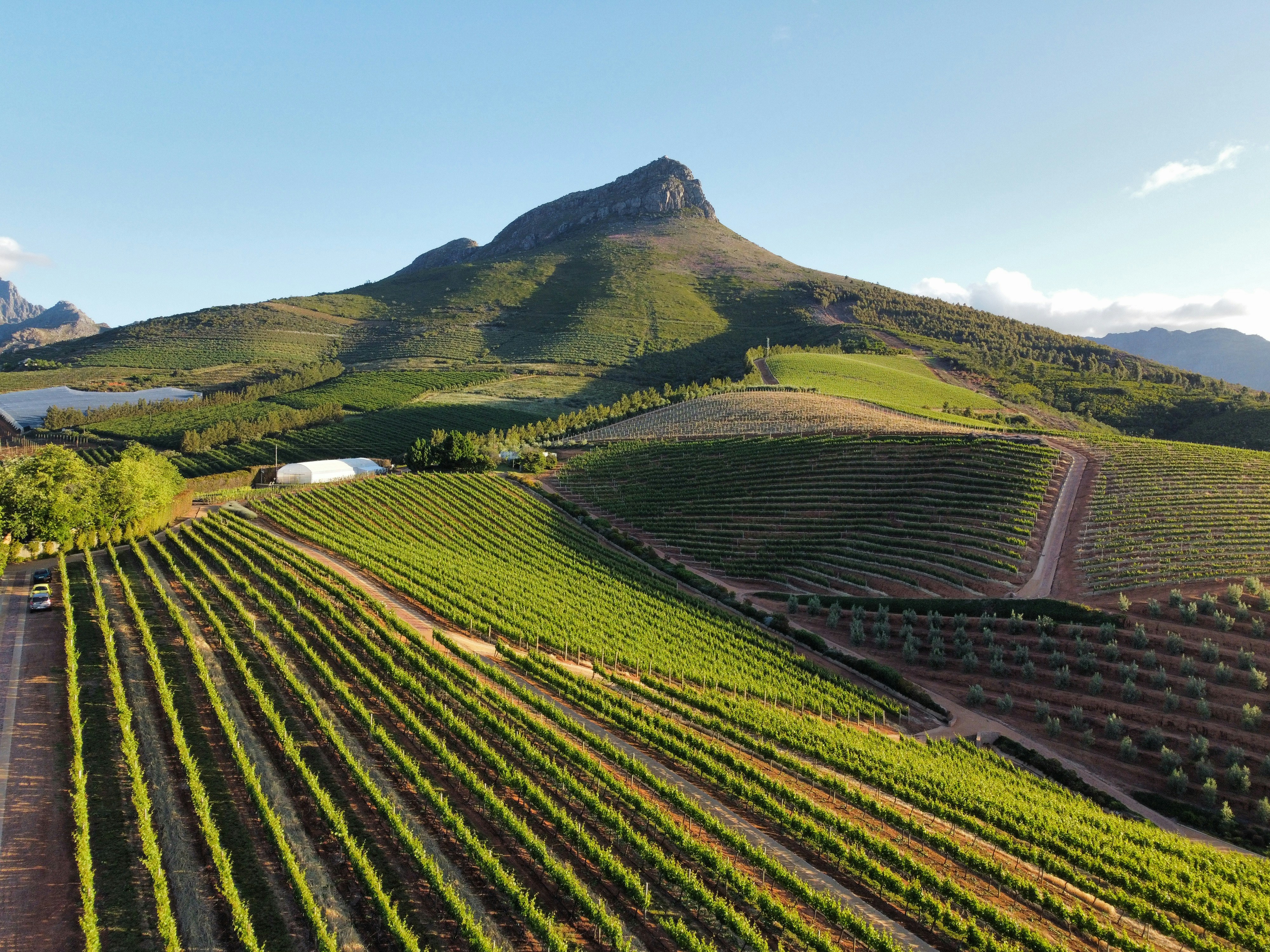 Cape Winelands, South Africa