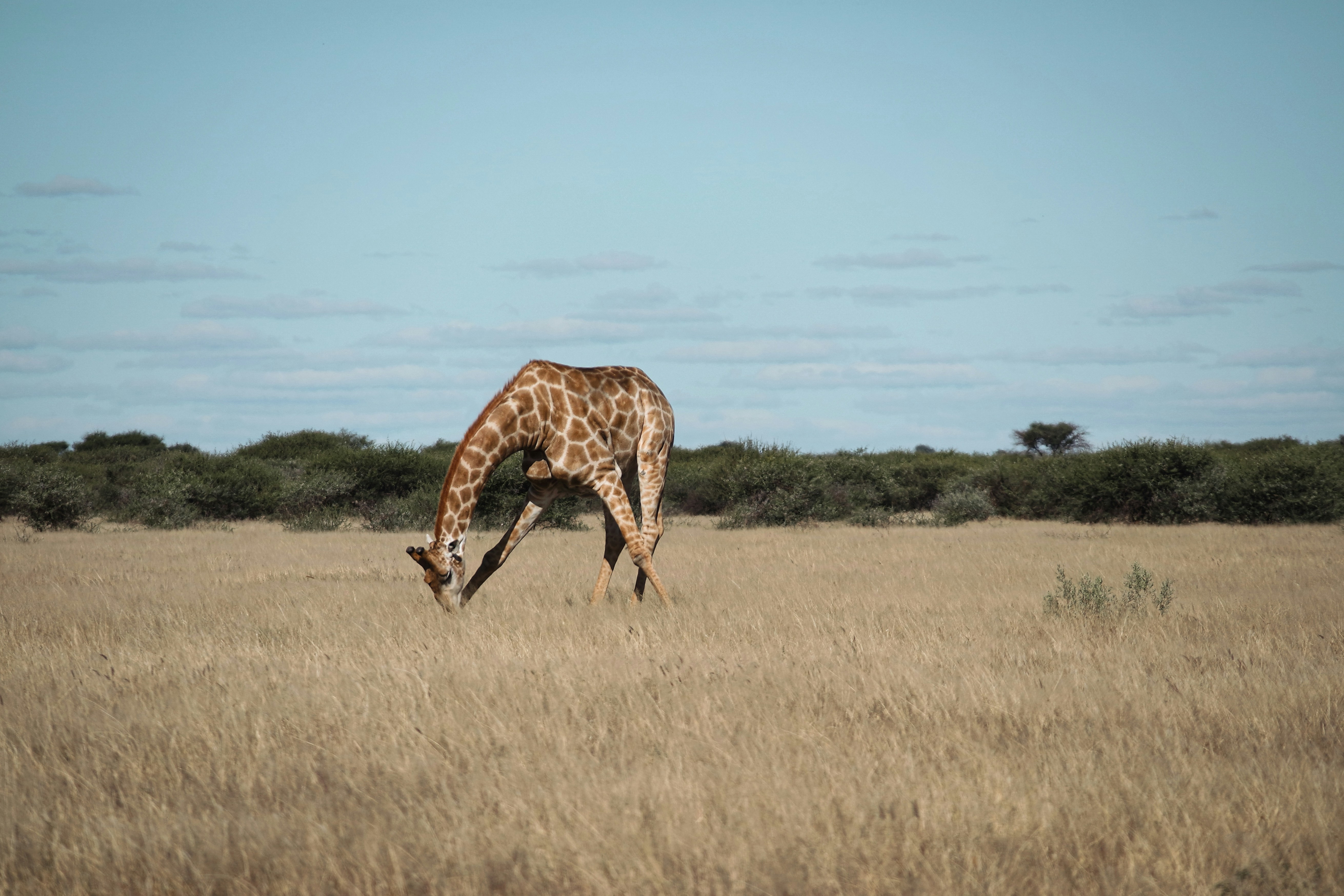 Days 5–8: Greater Kruger