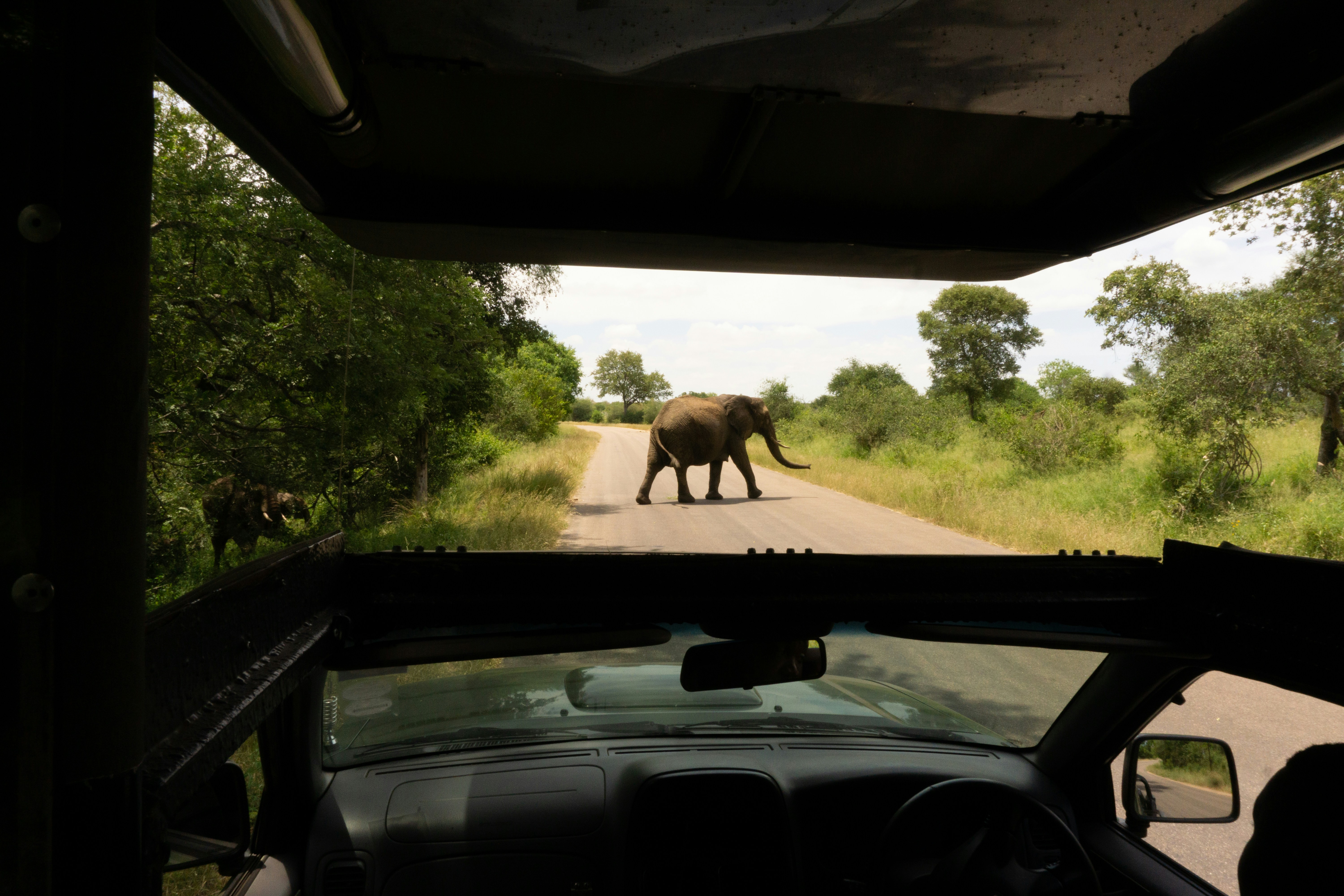 Malaria-Free Family Adventure